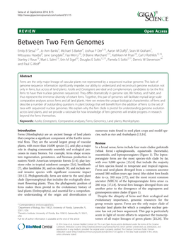Between Two Fern Genomes