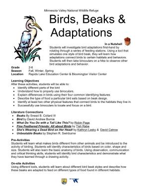 Birds, Beaks & Adaptations