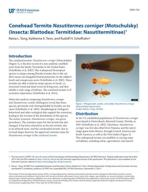 Conehead Termite Nasutitermes Corniger (Motschulsky) (Insecta: Blattodea: Termitidae: Nasutitermitinae)1 Reina L