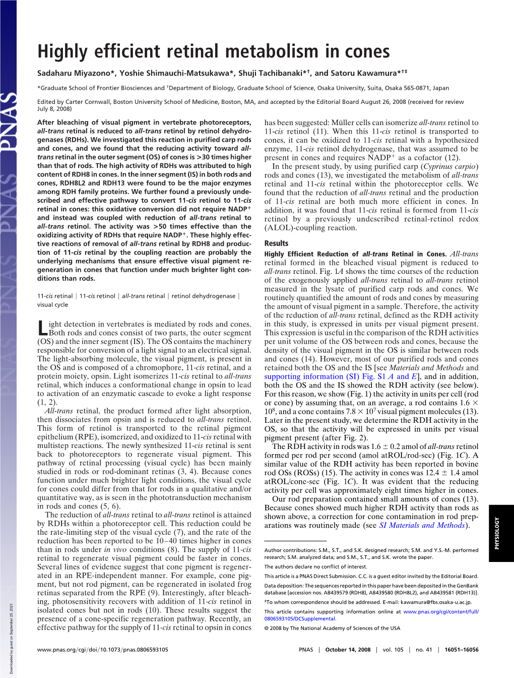 Highly Efficient Retinal Metabolism in Cones