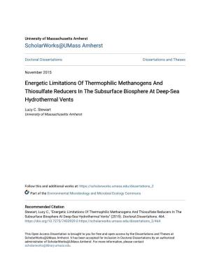 Energetic Limitations of Thermophilic Methanogens and Thiosulfate Reducers in the Subsurface Biosphere at Deep-Sea Hydrothermal Vents