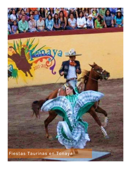 Fiestas Taurinas En Tonaya