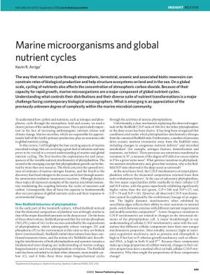 Marine Microorganisms and Global Nutrient Cycles Kevin R
