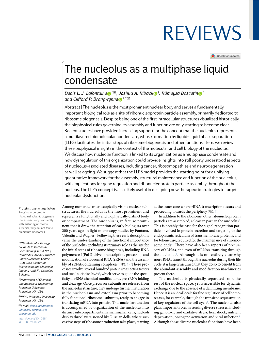 The Nucleolus As a Multiphase Liquid Condensate