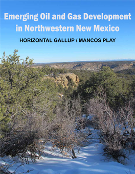 Emerging Oil and Gas Development in Northwestern New Mexico HORIZONTAL GALLUP / MANCOS PLAY