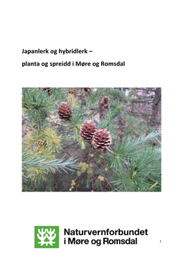 Japanlerk Og Hybridlerk – Planta Og Spreidd I Møre Og Romsdal