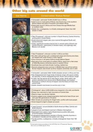 Other Big Cats Around the World