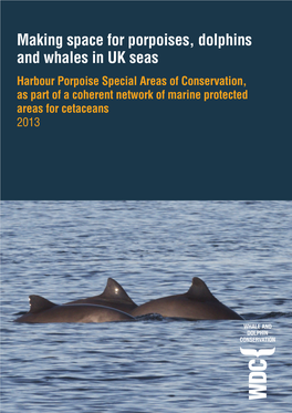Making Space for Porpoises, Dolphins and Whales in UK Seas