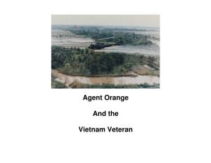 Agent Orange and the Vietnam Veteran