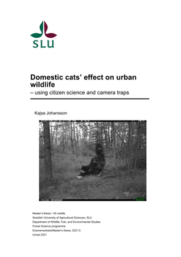 Domestic Cats' Effect on Urban Wildlife