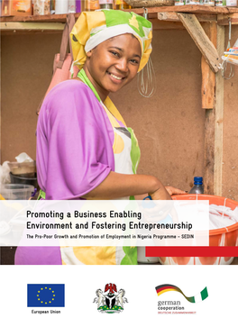 Promoting a Business Enabling Environment and Fostering Entrepreneurship the Pro-Poor Growth and Promotion of Employment in Nigeria Programme – SEDIN