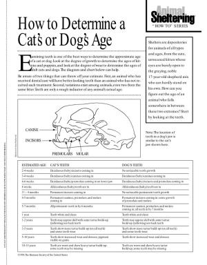 How to Determine a Cat's Or Dog's