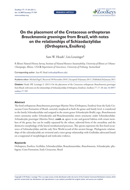 On the Placement of the Cretaceous Orthopteran Brauckmannia Groeningae from Brazil, with Notes on the Relationships of Schizodactylidae (Orthoptera, Ensifera)