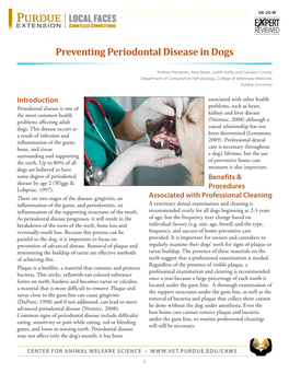 Preventing Periodontal Disease in Dogs