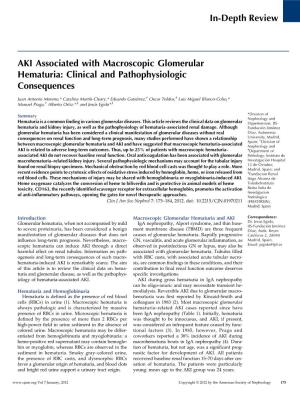 In-Depth Review AKI Associated with Macroscopic Glomerular Hematuria: Clinical and Pathophysiologic Consequences