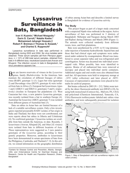 Lyssavirus Surveillance in Bats, Bangladesh