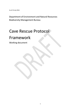 Draft Cave Rescue Protocol