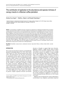 The Contribution of Epiphytes to the Abundance and Species Richness of Canopy Insects in a Mexican Coffee Plantation