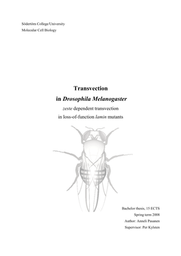 Transvection in Drosophila Melanogaster Zeste Dependent Transvection in Loss-Of-Function Lamin Mutants