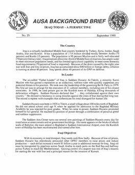 Ausa Background Brief Iraq Today- a Perspective