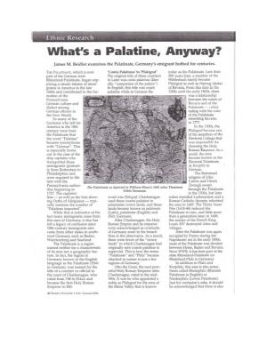 What's a Palatine Anyway?