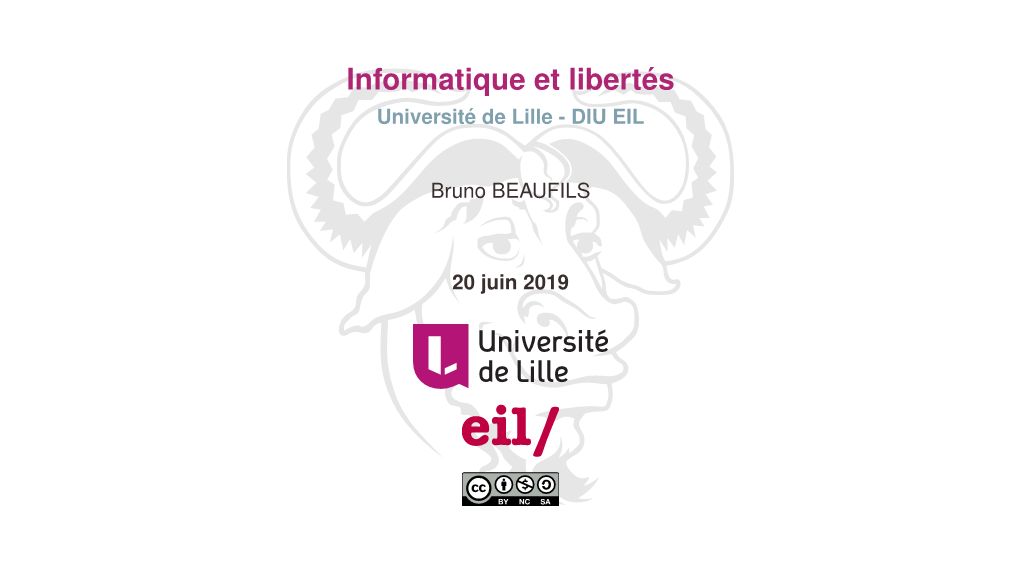 Informatique Et Libertés Université De Lille - DIU EIL