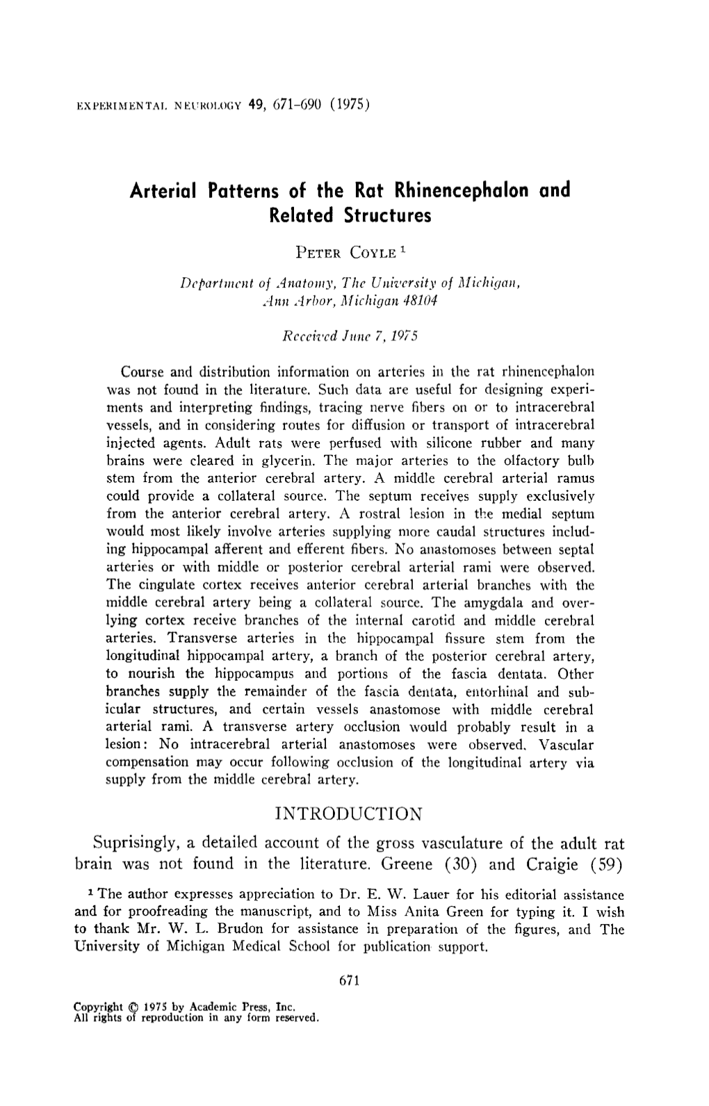 Arterial Patterns of the Rat Rhinencephalon and Related Structures