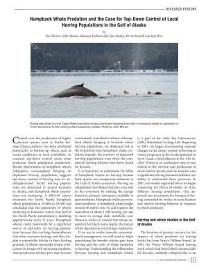 Humpback Whale Predation and the Case for Top-Down Control of Local