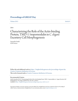 Characterizing the Role of the Actin-Binding Protein, TMD-1/Tropomodulin in C