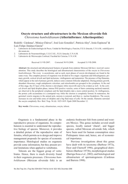 Oocyte Structure and Ultrastructure in the Mexican Silverside Fish Chirostoma Humboldtianum (Atheriniformes: Atherinopsidae)