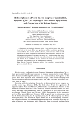 Redescription of a Poorly Known Deepwater Cardinalfish, Epigonus