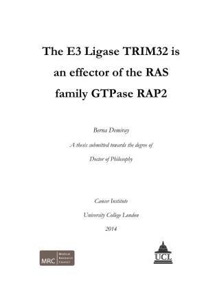 The E3 Ligase TRIM32 Is an Effector of the RAS Family Gtpase RAP2