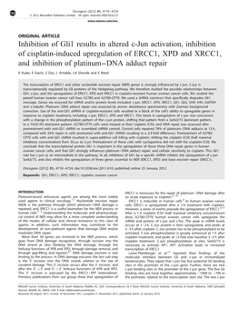 Inhibition of Gli1 Results in Altered C-Jun Activation, Inhibition of Cisplatin-Induced Upregulation of ERCC1, XPD and XRCC1, An