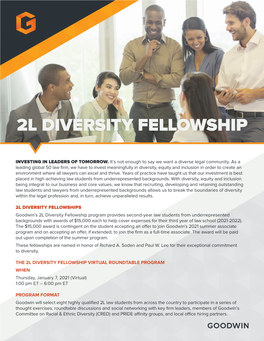 2L Diversity Fellowship