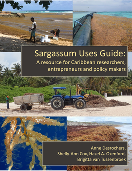 Download Sargassum Uses Guide