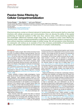 Passive Noise Filtering by Cellular Compartmentalization