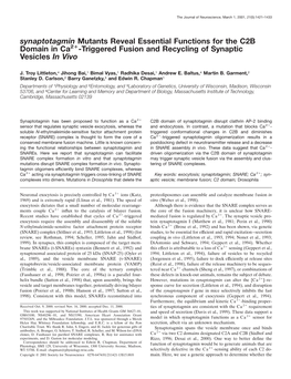 Synaptotagmin Mutants Reveal Essential Functions for the C2B Domain in Ca2؉-Triggered Fusion and Recycling of Synaptic Vesicles in Vivo