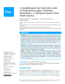 A Morphological and Molecular Study of Hydrodynastes Gigas (Serpentes, Dipsadidae), a Widespread Species from South America