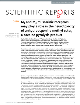 M1 and M3 Muscarinic Receptors May Play a Role in the Neurotoxicity Of