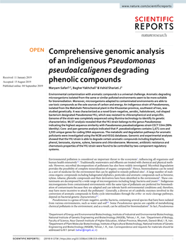 Comprehensive Genomic Analysis of an Indigenous Pseudomonas Pseudoalcaligenes Degrading Phenolic Compounds