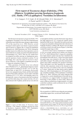 First Report of Toxomerus Dispar (Fabricius, 1794) (Diptera: Syrphidae) Preying Spodoptera Frugiperda (J.E