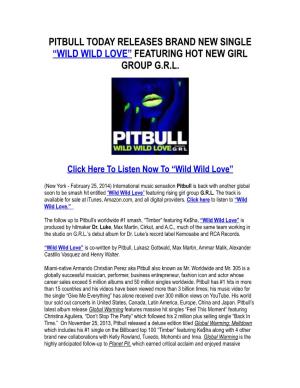 PITBULL FT GRL WILD WILD LOVE February 25, 2014