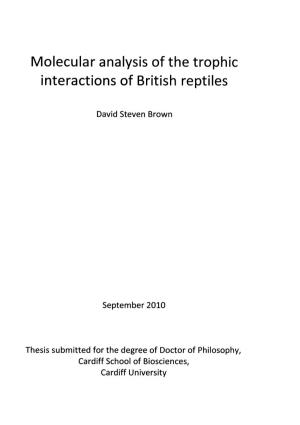 Molecular Analysis of the Trophic Interactions of British Reptiles