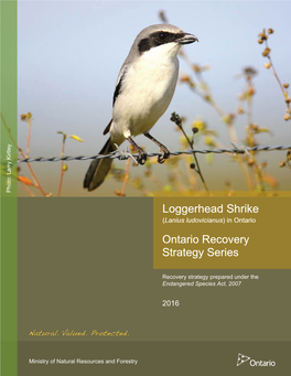 Loggerhead Shrike About the Ontario Recovery Strategy Series