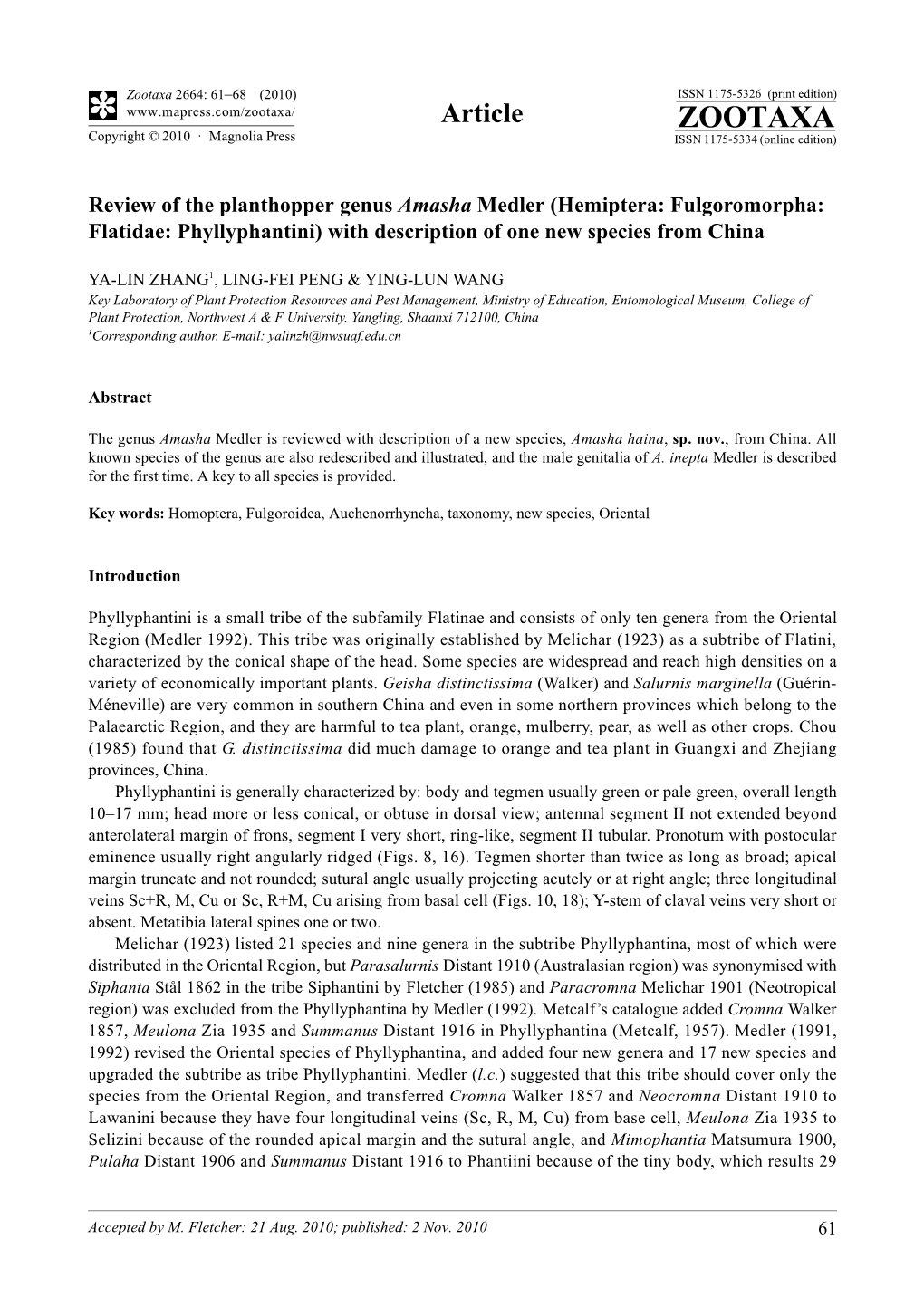 Review of the Planthopper Genus Amasha Medler (Hemiptera: Fulgoromorpha: Flatidae: Phyllyphantini) with Description of One New Species from China