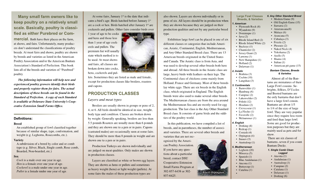 Poultry Breeds