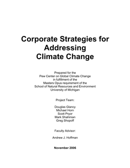Corporate Strategies for Addressing Climate Change