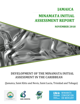 Jamaica Minamata Initial Assessment Report