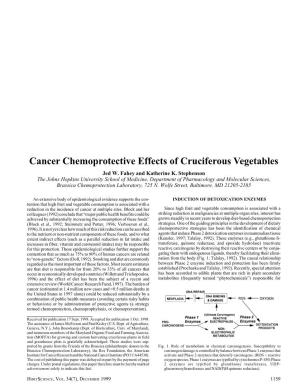 Cancer Chemoprotective Effects of Cruciferous Vegetables Jed W