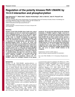 Regulation of the Polarity Kinases PAR-1/MARK by 14-3-3 Interaction and Phosphorylation